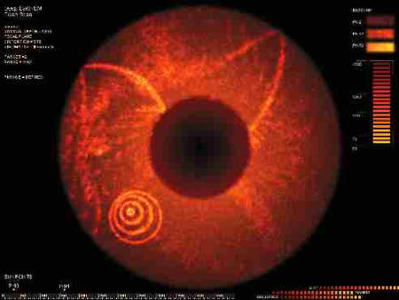 Срез Земли по-голливудски: в фильме «Ядро» дан поперечный разрез Земли, на котором показаны возмущения магнитного поля (концентрические круги) в мантии