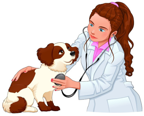 вызвать на дом ветеринара